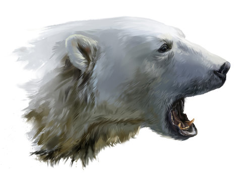 A Polar Bear Growls Watercolor Painting