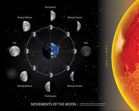 Movements of the Moon 8 Lunar Phases Realistic Vector Illustration