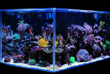 Aquarium Products