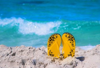 Obraz premium slipper, flip-flop standing on the seand beach with swell of the sea in background