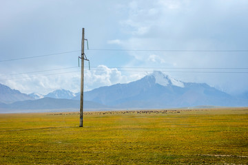 Fototapeta na wymiar Green yellow valley, Kyrgyzstan