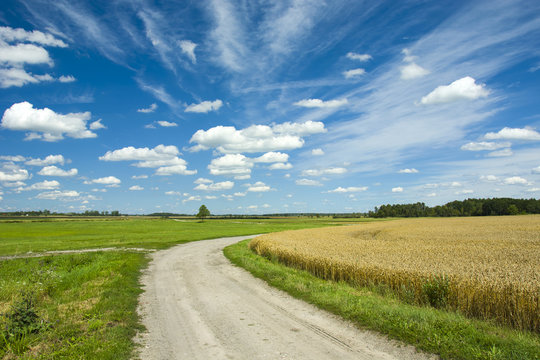 Road through meadow and fields