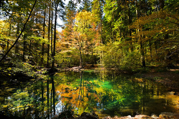 Obraz premium beautiful pond in the woods, Ochiul Beiului, Caras Severin county, Romania