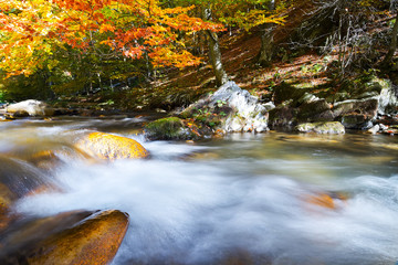 Naklejka na ściany i meble Small Waterfall in autumn forest