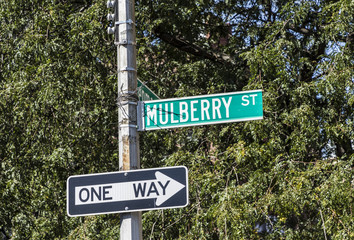 street sign Mulberry street