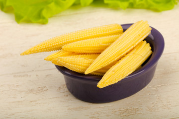 Young baby corn