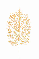 Obraz premium Golden sheet on white background. Lay Flat, top view. Minimal background.