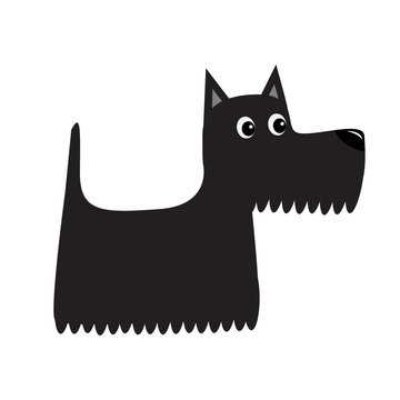 recommend clip art: Scottish terrier black dog. Scottie puppy. Cute cartoon character. Pet animal collection. Adopt concept. Flat design. White background. Isolated.