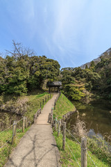 春の佐倉城跡の出丸跡の風景