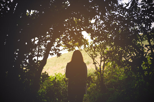 Fototapeta Silhouette image of a woman tourist walking and trekking in tropical forest