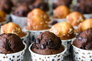 Muffin cupcakes with cocao