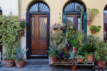 Plakat details of a door with plants in Lucca, Italy