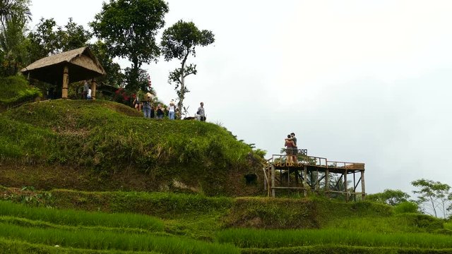 Tourists take photo viewpoint at Desa Pakraman rice terrace, Bali