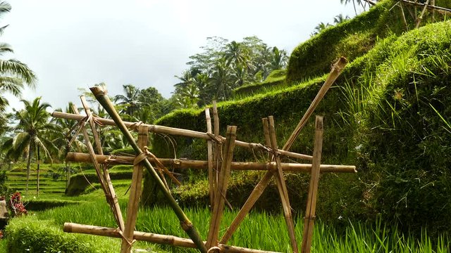 Wooden fence on Desa Pakraman rice fields near Ubud, Bali