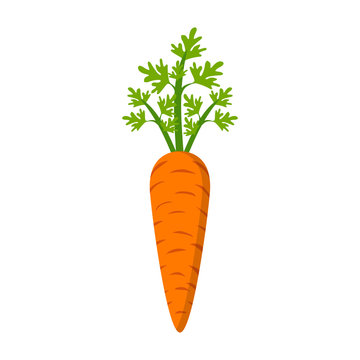 Carrot icon in a flat design on a white background. Vector illustration