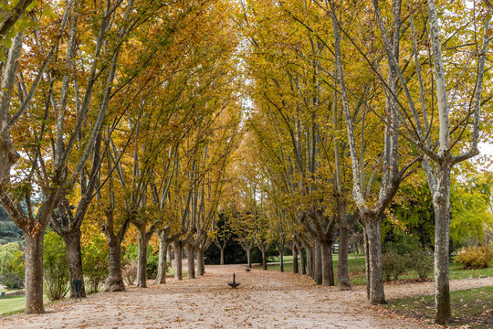 Madrid West Park with trees tinted by autumn colors