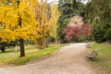 Madrid West Park with trees tinted by autumn colors