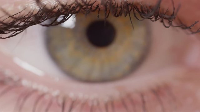 MACRO DOF:Macro of woman's beautiful green eye embellished by brown streaks. Attractive green female eye with mascara on long lashes. Focus shifting from girl's black lashes to colorful green iris.