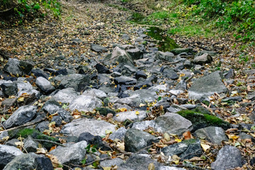 Brook in the forest between the stones.