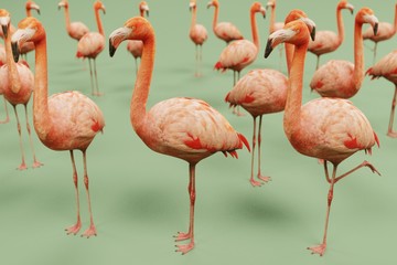 realistic 3d render of american flamingo