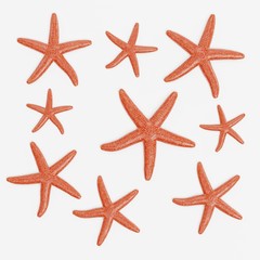 Fototapeta na wymiar Realistic 3D Render of Starfishes