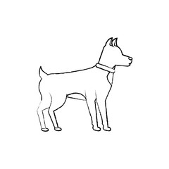 dog animal mammal pet friendly vector illustration sketch