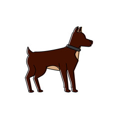 dog animal mammal pet friendly vector illustration
