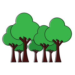 trees forest park natural botanical ecology vector illustration