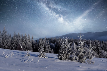 magical winter snow covered tree. Winter landscape. Vibrant night sky with stars and nebula and...