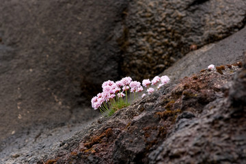 Faroe island, Denmark