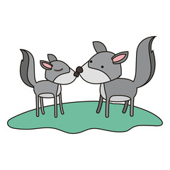wolves couple over grass in colorful silhouette on white background vector illustration