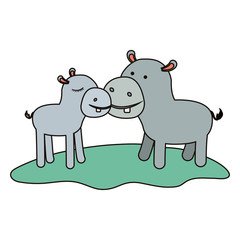 hippopotamus couple over grass in colorful silhouette on white background vector illustration