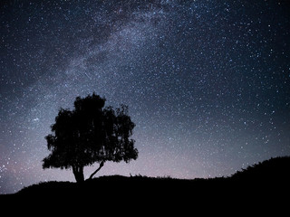 Landscape with night starry sky and silhouette of tree on the hill. Milky way with lonely tree,...