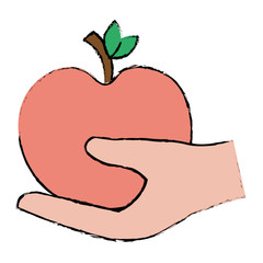 hand with apple fresh vector illustration design
