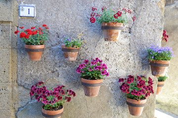 Fototapeta na wymiar Urban gardening in Pitigliano, Tuscany, Italy