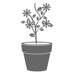 flower in pot icon vector illustration design