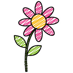 beautiful flower isolated icon vector illustration design
