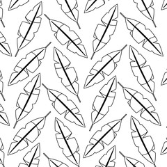 seamless pattern feathers decoration ornament vector illustration