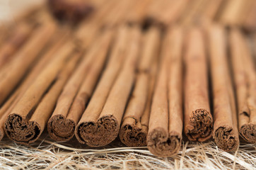 A background with cinnamon sticks. Selective focus on bottom of the image.