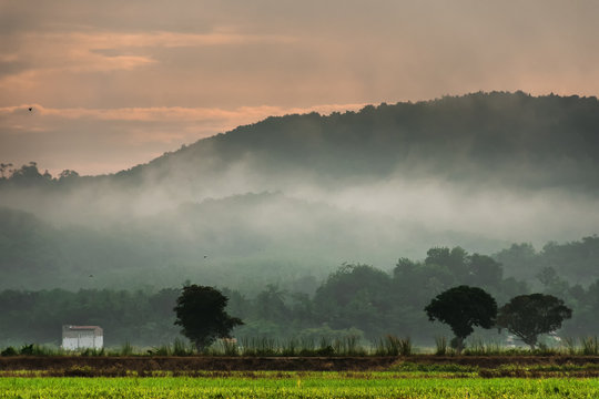 Morning fog rising form nowhere and floating across the hill