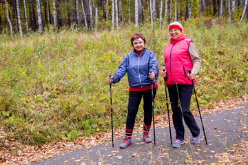 Senior ladies nordic walking