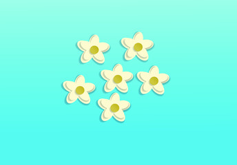 Yellow and white flower illustration vector