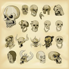   Hand-drawn human skulls illustration