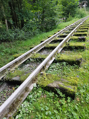 Schienen, Moorbahn, Schmalspur, Bad Schwalbach