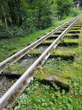 Schienen, Moorbahn, Schmalspur, Bad Schwalbach