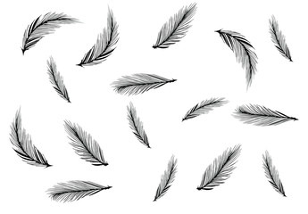Abstract of bird feather for background wallpaper pattern illustration vector