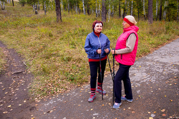 Fototapeta premium Senior ladies nordic walking