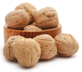 Walnut