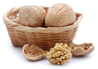 Walnut