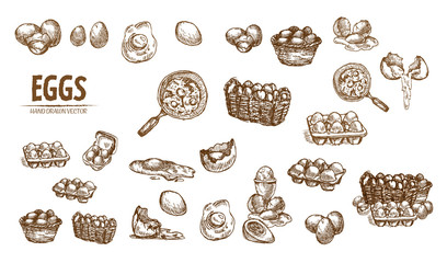 Digital vector detailed line art splitted scratch